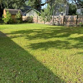 landscaping services by Eden Landscape and Tree service reviewed on August 15, 2025
