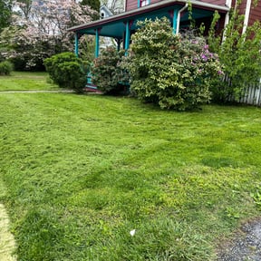 turf maintenance by Lavish Lawn Care LLC reviewed on September 16, 2023
