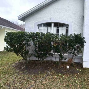 Bush Trimming by Florida’s Finest lawn care reviewed on August 19, 2025