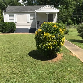 Bush Trimming by A-Z Land Care reviewed on August 21, 2025