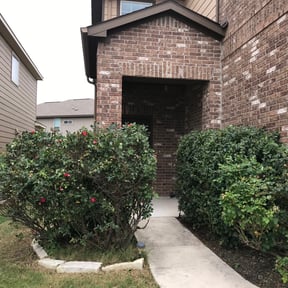 Bush Trimming by Iowa Lawn and Plow, LLC reviewed on August 17, 2025