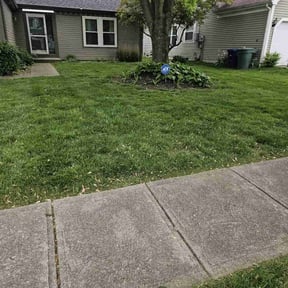 yard service by Ramirez Hernandez Landscape reviewed on August 18, 2025