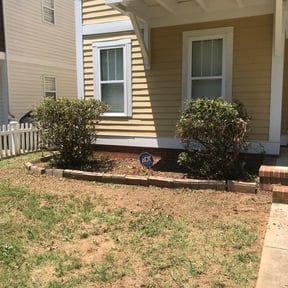 Bush Trimming by SalÃas Lawn service reviewed on August 21, 2025