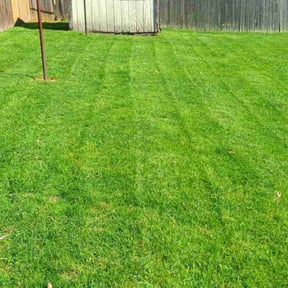 grass cutting by Get mowed reviewed on August 23, 2024