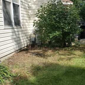 Flower Bed Weeding by Grass Masters reviewed on August 18, 2025