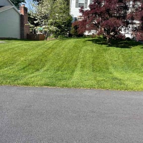 landscaping by EV Great Valley Landscaping,LLC. reviewed on November 24, 2025