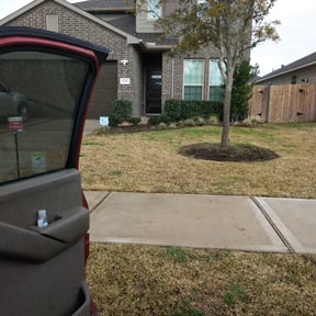 Bush Trimming by Matt's Lawn Mowing reviewed on August 16, 2025