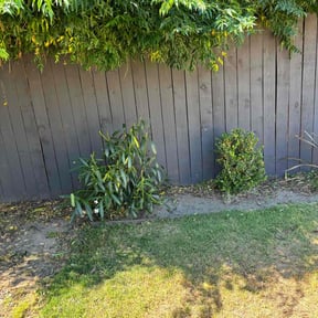 Bush Trimming by Mortstar Industries reviewed on August 20, 2025