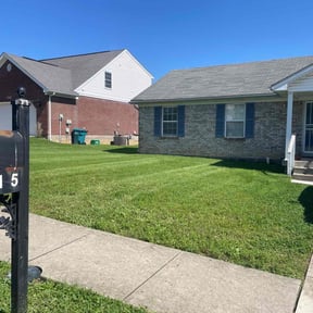 lawn care by Basic Lawn Care reviewed on August 19, 2025