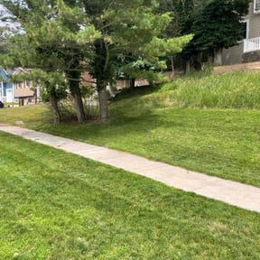 lawn maintenance by Duartes Lawn Service reviewed on November 9, 2017