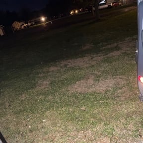 Leaf Removal by J&amp;R LawnCare &amp; Maintenance reviewed on September 25, 2025