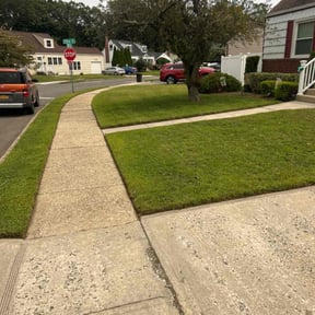 grass cutting by Robert Lee reviewed on August 16, 2025