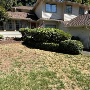 grass cutting by EV Great Valley Landscaping,LLC. reviewed on August 8, 2025