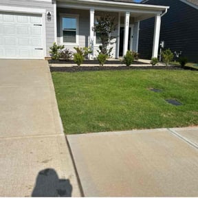 grass maintenance by Mitchell Johnson reviewed on June 21, 2022