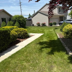 turf maintenance by Williamson's  Lawn Care and Service reviewed on September 8, 2020