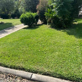 yard care by Fresh cuts lawn service reviewed on August 20, 2025