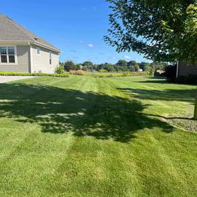 yard work by RAWLawns reviewed on August 15, 2025
