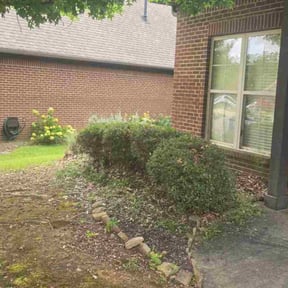 Bush Trimming by Lakewood Lawn Services reviewed on November 23, 2025