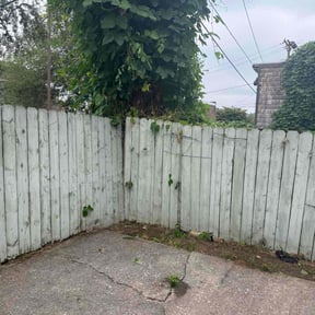 Bush Trimming by Nate’s Lawn Care, LLC reviewed on November 5, 2025