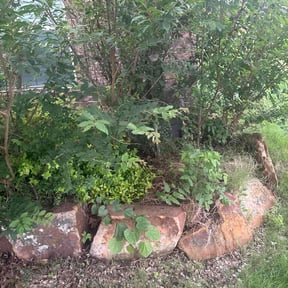 Flower Bed Weeding by Santos Benites Landscaping  LLC reviewed on May 28, 2026