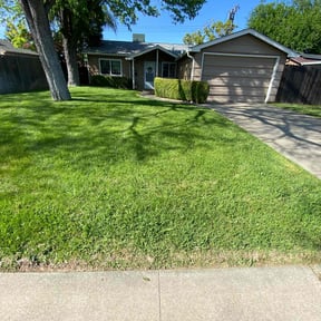 yard maintenance by Diego Mojica Lawn Care reviewed on August 19, 2025