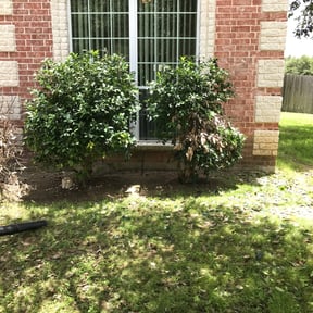 Bush Trimming by Barnes Lawn Care reviewed on August 21, 2025