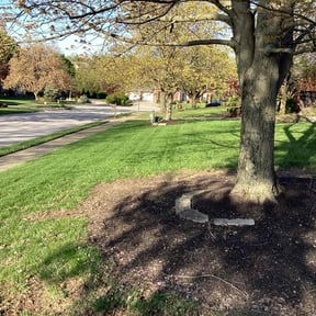 yard work by Keith Vickers reviewed on May 21, 2025