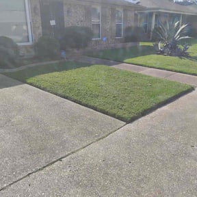 Bush Trimming by JD&#039;s Green stride solutions reviewed on October 22, 2025