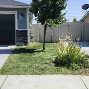 turf care by Green cutz reviewed on May 4, 2025