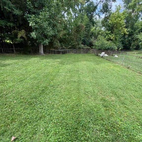 turf maintenance by Family Gang Lawn reviewed on April 9, 2024