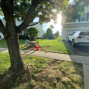 Bush Trimming by Oliva lawn care reviewed on August 20, 2025
