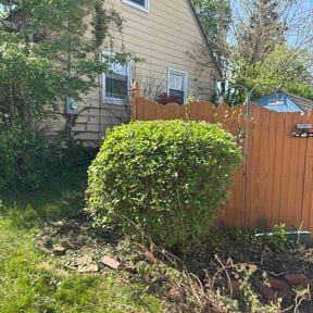 Bush Trimming by McCrary Lawncare Solutions reviewed on May 9, 2026