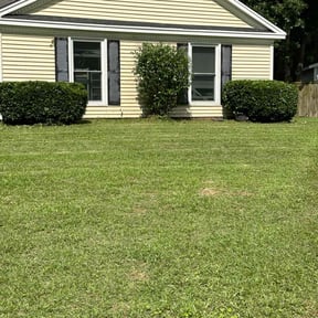 Bush Trimming by Toolegit lawn service reviewed on August 19, 2025