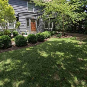 yard work by NovaScape Solutions LLC reviewed on August 20, 2025