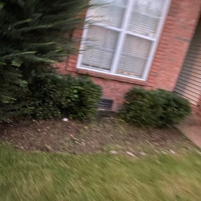 Bush Trimming by YouKnoDaInfo LLC reviewed on August 17, 2025