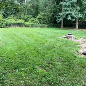 grass cutting by Marvin&#039;s Services LLC reviewed on August 20, 2025