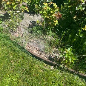 Flower Bed Weeding by David landscaping &amp; stone work/fence reviewed on May 7, 2026