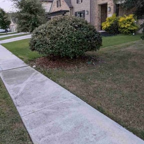 Bush Trimming by Sergio reviewed on October 24, 2025