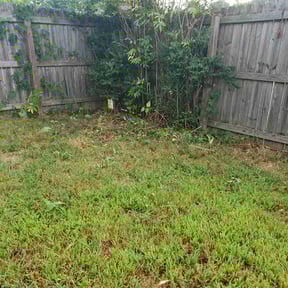 Bush Trimming by Chaplin Lawncare reviewed on August 17, 2025