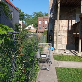 Bush Trimming by Armstrong's Lawn Care Plus reviewed on August 16, 2025