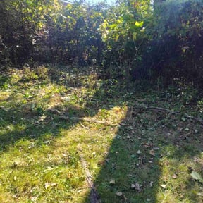 Bush Trimming by Lawn Pros reviewed on October 24, 2025