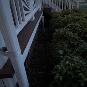 Flower Bed Weeding by Harper's Exclusives Lawn Care LLC reviewed on August 15, 2025