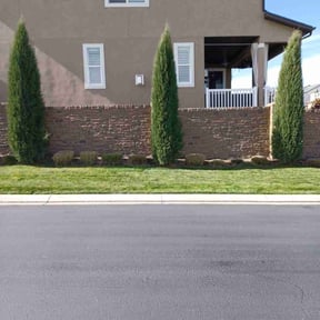 Bush Trimming by Faire N Square reviewed on August 16, 2025