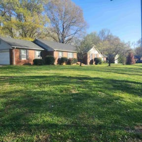 lawn service by DLAWN SERVICE LLC reviewed on March 12, 2024