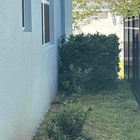 Bush Trimming by Hernández landscape reviewed on May 4, 2026