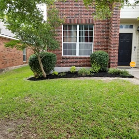 Bush Trimming by BD's Platinum Lawncare LLC reviewed on August 16, 2025