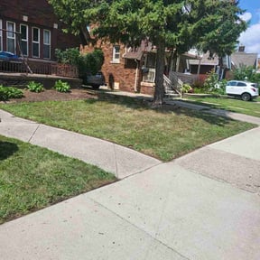 Flower Bed Weeding by Ed's lawn barber reviewed on November 4, 2025