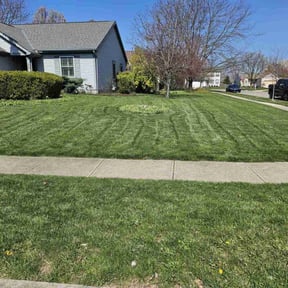 yard maintenance by CityWide CityGuy reviewed on November 24, 2025