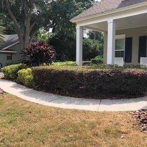 Bush Trimming by Maltese Landscapes  reviewed on August 19, 2025