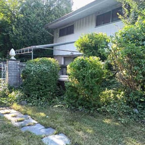 Bush Trimming by Al's lawn care. reviewed on August 21, 2025